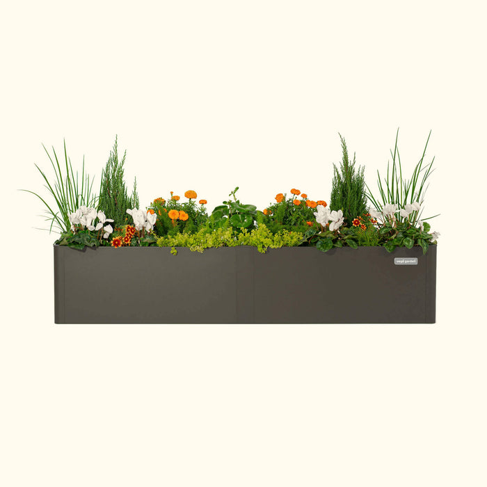 Vegö Garden grey metal planter filled with white cyclamen, orange marigolds, green grasses, and evergreen shrubs.