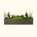 Vegö Garden grey metal planter filled with white cyclamen, orange marigolds, green grasses, and evergreen shrubs.