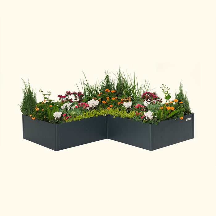 L-shaped dark gray raised garden bed with a vibrant mix of green foliage, orange, pink, and white flowers.