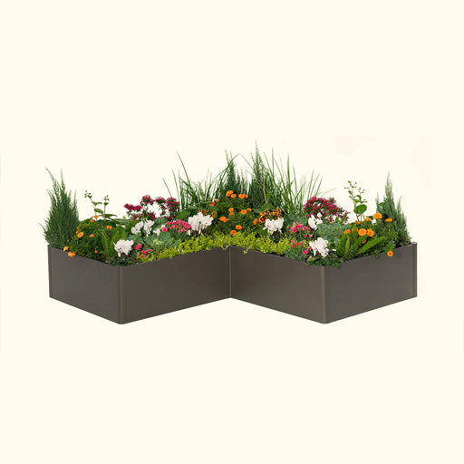 L-shaped dark grey planter box with vibrant flowers, evergreen shrubs, and tall grasses for modern outdoor landscaping.
