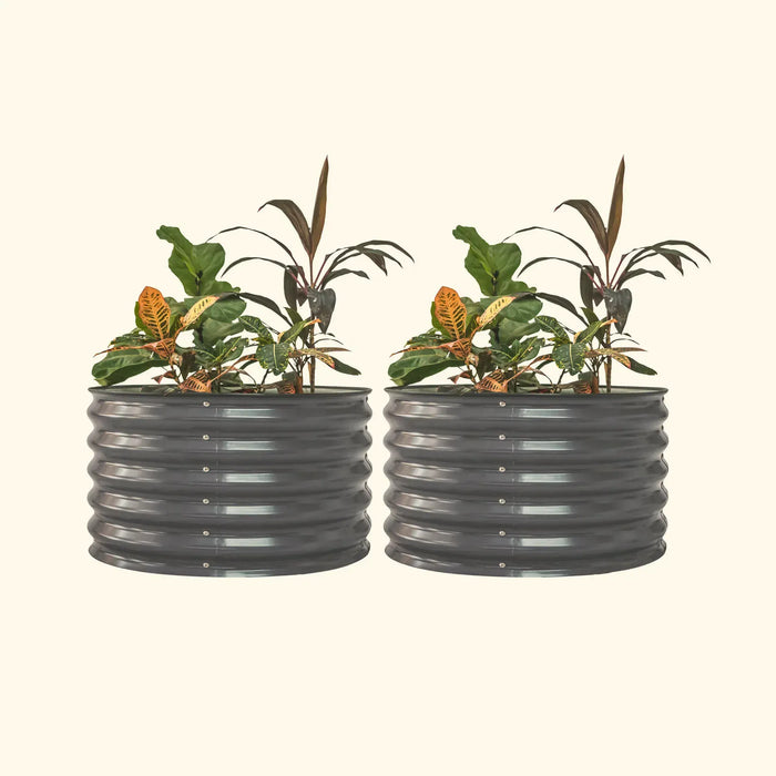 Pair of dark grey corrugated steel raised garden beds, filled with diverse green and variegated plants. Durable outdoor planters.