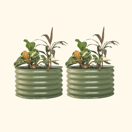 Two olive green corrugated metal raised garden beds, filled with a variety of lush green, red, and variegated plants.