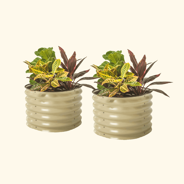 Two beige corrugated metal planters with colorful croton, fiddle leaf fig, and red ti plants. Modern garden decor.