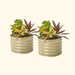 Two beige corrugated metal planters with colorful croton, fiddle leaf fig, and red ti plants. Modern garden decor.