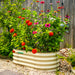 Vego Garden corrugated raised garden bed brimming with vibrant red and pink zinnia flowers. Backyard gardening.