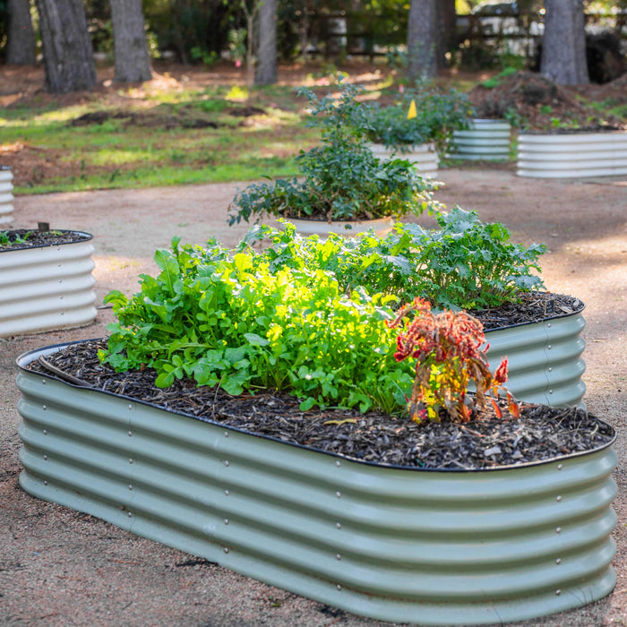 Modern corrugated steel raised garden beds with healthy kale and fresh greens, perfect for backyard vegetable growing.