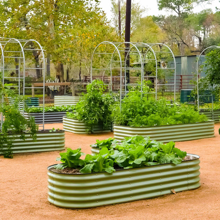 Productive backyard garden with light green corrugated metal raised beds, lush vegetables, and metal arch trellises on gravel.