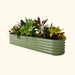 Long sage green corrugated metal raised garden bed filled with vibrant green, red, and yellow plants, plus flowers.