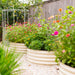 Vibrant zinnias and marigolds in corrugated raised garden beds on a gravel path. Backyard garden with fruit trees & fence.