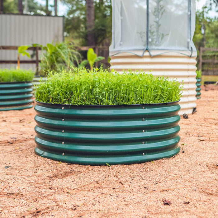 Green corrugated steel raised garden bed with vibrant seedlings. Modern outdoor gardening setup on mulch.