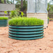 Green corrugated steel raised garden bed with vibrant seedlings. Modern outdoor gardening setup on mulch.