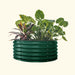 Round dark green corrugated metal raised garden bed with lush tropical plants and red foliage.