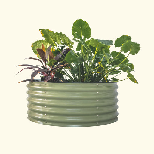 Sage green corrugated metal raised garden bed with lush green and red tropical plants. Ideal for outdoor gardening.