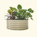 Beige corrugated metal round raised garden bed with lush green and red-leafed plants.