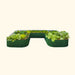 U-shaped dark green corrugated metal raised garden bed with thriving leafy vegetables: lettuce, kale, cabbage.