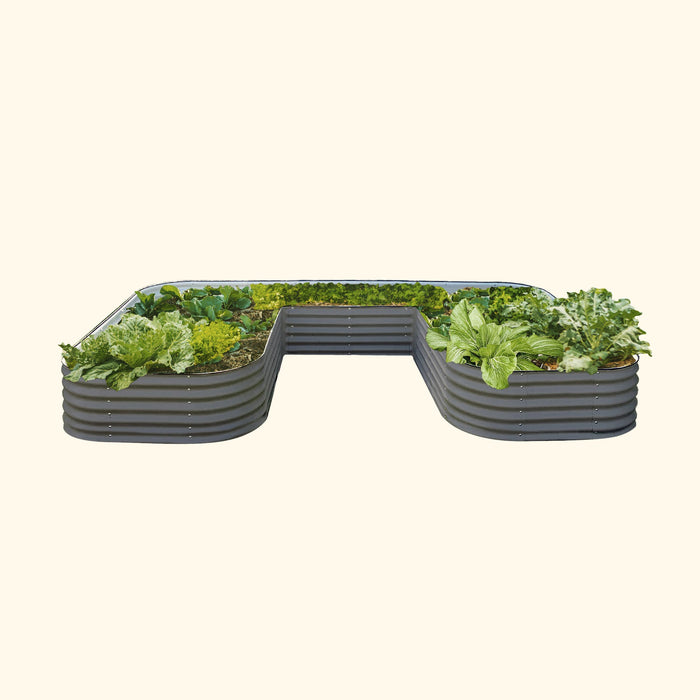 U-shaped corrugated metal raised garden bed filled with vibrant green vegetables like lettuce, kale, and cabbage.