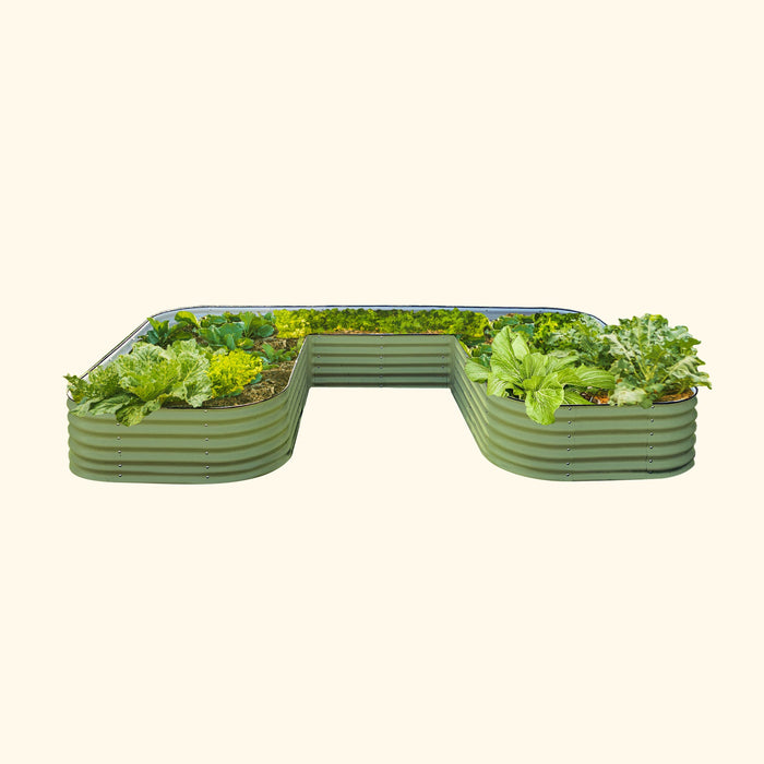 U-shaped corrugated metal raised garden bed filled with lush green lettuce, kale, and other vegetables. Perfect for home gardens.