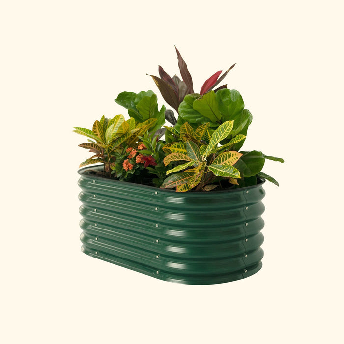 Green corrugated metal raised garden bed with various plants, including fiddle leaf fig, croton, and orange flowers.