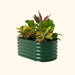 Green corrugated metal raised garden bed with various plants, including fiddle leaf fig, croton, and orange flowers.