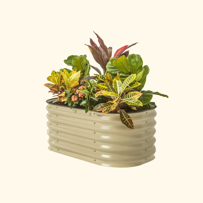 Beige corrugated raised garden bed with croton, fiddle leaf fig, cordyline, and kalanchoe plants.