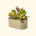 Beige corrugated raised garden bed with croton, fiddle leaf fig, cordyline, and kalanchoe plants.