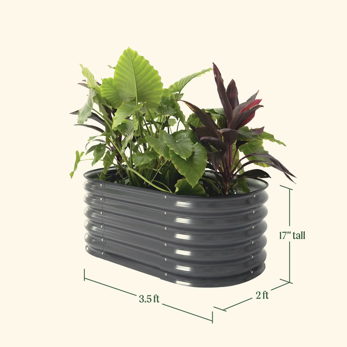 Oval dark gray corrugated steel raised garden bed, 17" H x 3.5' L x 2' W, filled with vibrant green and red plants.