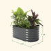 Oval dark gray corrugated steel raised garden bed, 17" H x 3.5' L x 2' W, filled with vibrant green and red plants.