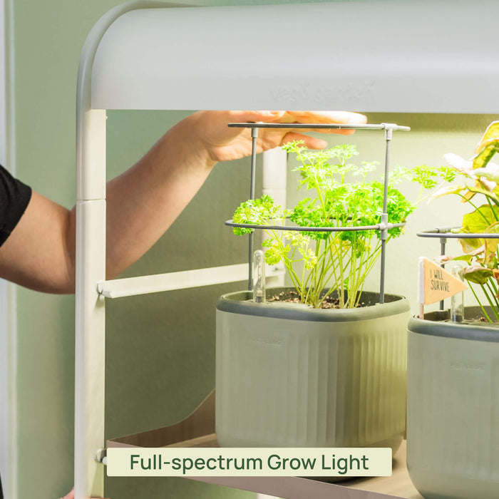 Hand adjusts Vego Garden full-spectrum grow light over fresh parsley in an indoor smart garden.