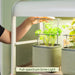 Hand adjusts Vego Garden full-spectrum grow light over fresh parsley in an indoor smart garden.