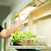 Hand adjusting an LED grow light over young plant seedlings. Features independent control for optimal indoor plant growth.