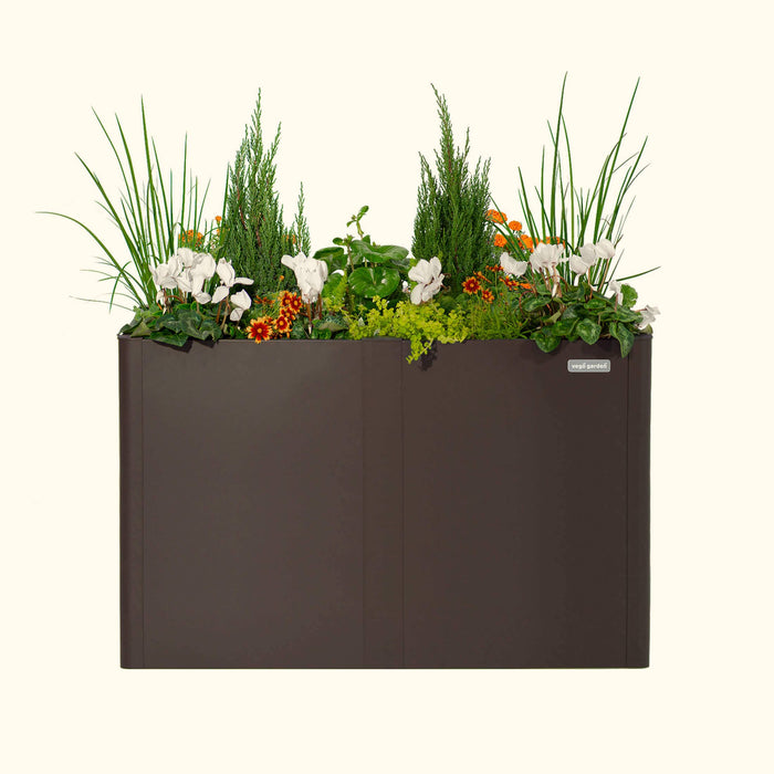 Dark brown rectangular Vego Garden planter with white cyclamen, orange blooms, conifers, and grasses.