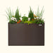 Dark brown rectangular Vego Garden planter with white cyclamen, orange blooms, conifers, and grasses.