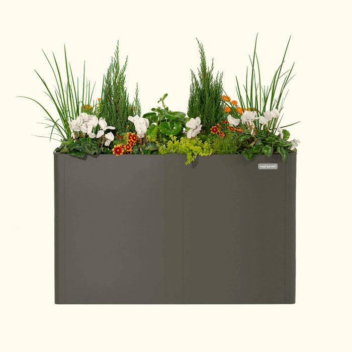 Vego Garden charcoal metal planter box brimming with green grass, white cyclamen, orange flowers, and evergreen shrubs.