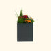 Modern dark gray planter box with vibrant pink, orange, white flowers, and diverse green plants.