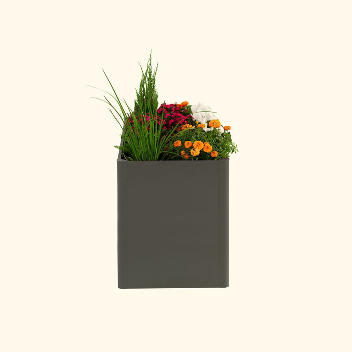 Modern dark grey rectangular planter with vibrant pink, orange, white flowers, green grass, and small evergreen.