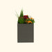 Modern dark grey rectangular planter with vibrant pink, orange, white flowers, green grass, and small evergreen.