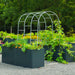 Modern dark gray raised garden beds with vibrant marigolds, dill, and cucumber vines on a metal arch trellis.