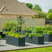 Backyard raised garden beds with vibrant vegetables, herbs, flowers, and a metal arch trellis. Gravel path, green lawn, modern design.