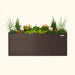 Vego Garden brown metal planter box with vibrant green plants, evergreen shrubs, orange marigolds, and white cyclamen.