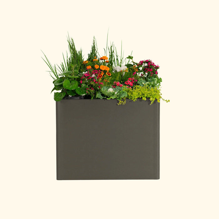 Dark grey modern rectangular planter brimming with vibrant green plants, orange, and pink flowers.