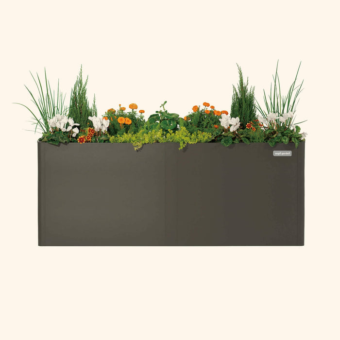 Modern dark grey rectangular Vego Garden planter box filled with orange marigolds, white cyclamen, grass, and shrubs.