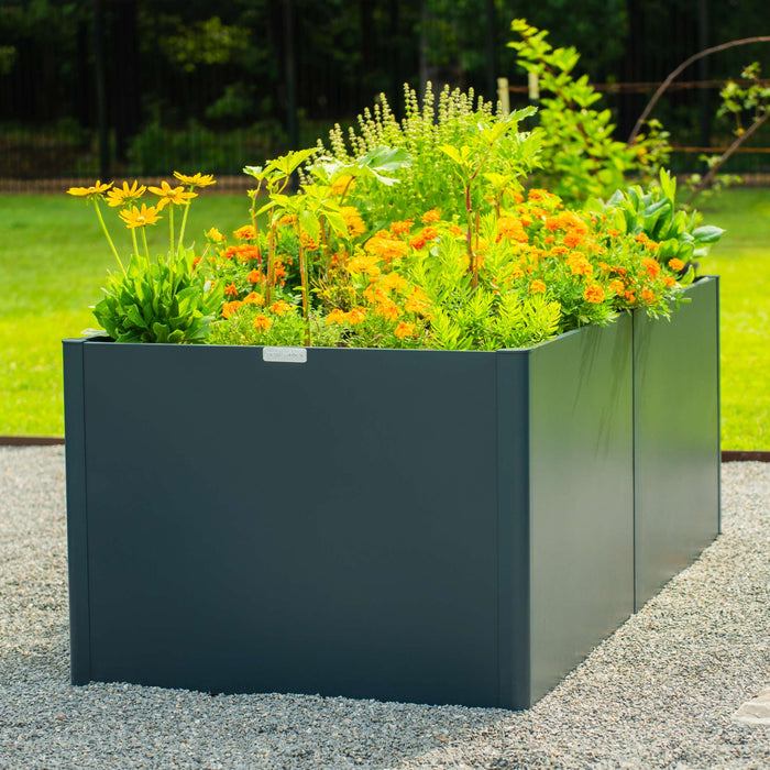 Stylish dark gray Vego Garden metal raised garden bed overflowing with vibrant marigolds, yellow flowers, and lush green plants.