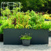 Vibrant backyard raised garden beds with tomatoes, basil, carrots, and marigolds. Modern container garden design.