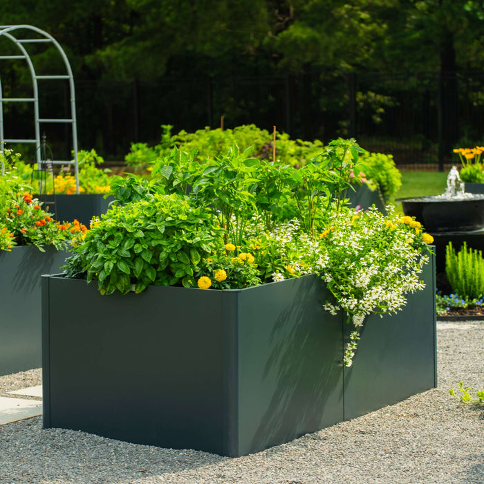 Modern dark gray raised garden beds overflowing with basil, marigolds, white flowers, and peppers. Gravel path, garden arch, fountain.