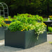 Modern dark gray raised garden beds overflowing with basil, marigolds, white flowers, and peppers. Gravel path, garden arch, fountain.