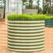 Sage green corrugated metal raised garden bed filled with vibrant green microgreens. Outdoor gardening planter.