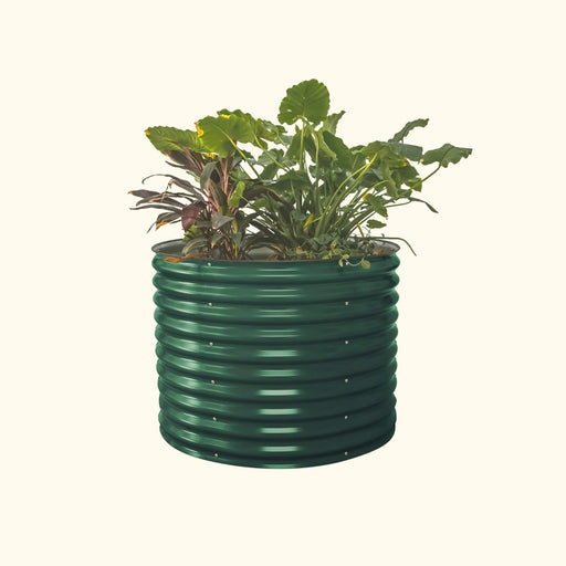 Deep green corrugated metal raised garden bed planted with vibrant foliage.