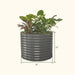 Round dark grey corrugated steel raised garden bed with plants, 32" tall x 42" wide. Ideal for backyard gardening.