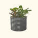 Round corrugated metal raised garden bed in anthracite grey with lush plants.