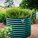Lush rosemary in a dark green corrugated steel raised garden bed with a solar light. Outdoor herb planter.